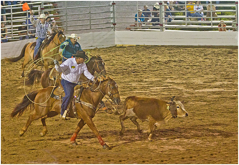Steer roping no 1 pres s